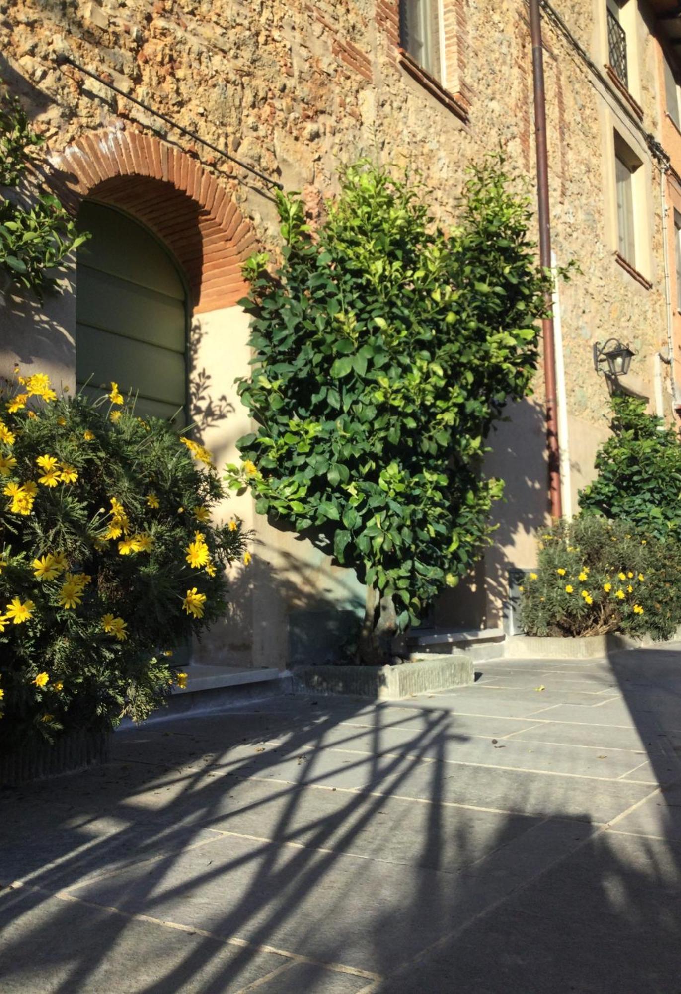 Villa Casa Mita Con Pacchetto Mare Incluso Camaiore Exterior foto
